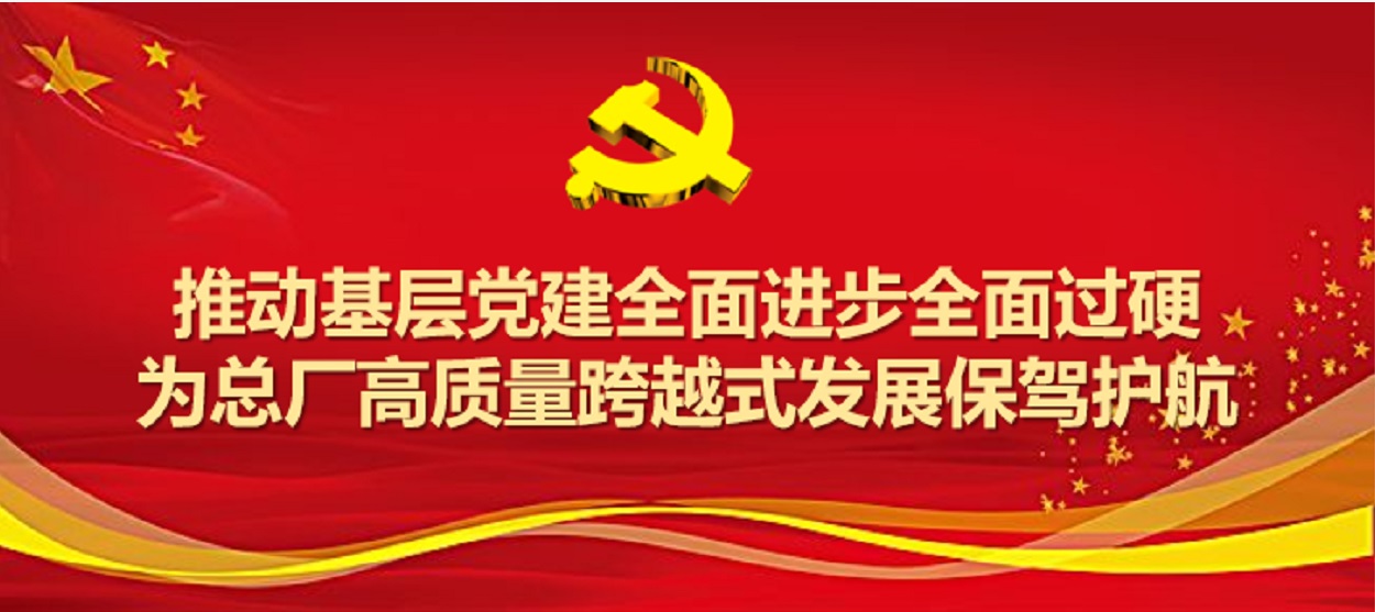 白云山制藥總廠圓滿完成2019年度黨支部工作及黨支部書記考評工作