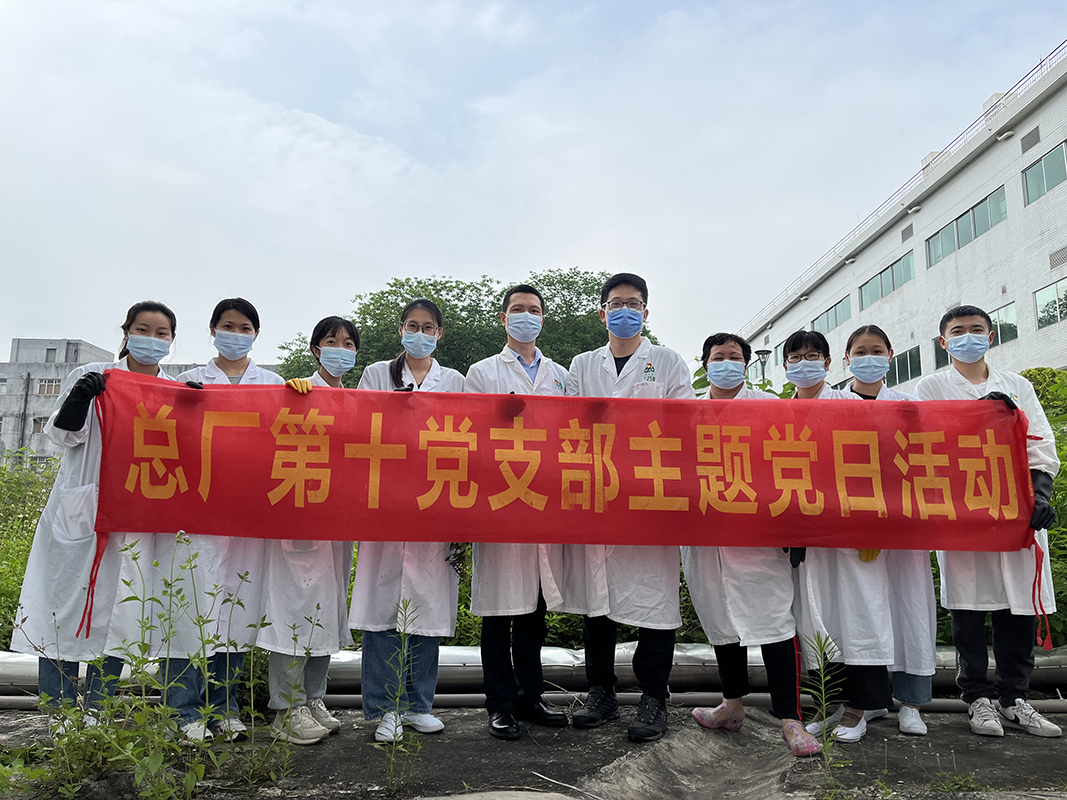 抵御風(fēng)雨的青年力量——第十黨支部開展主題黨日活動(dòng)